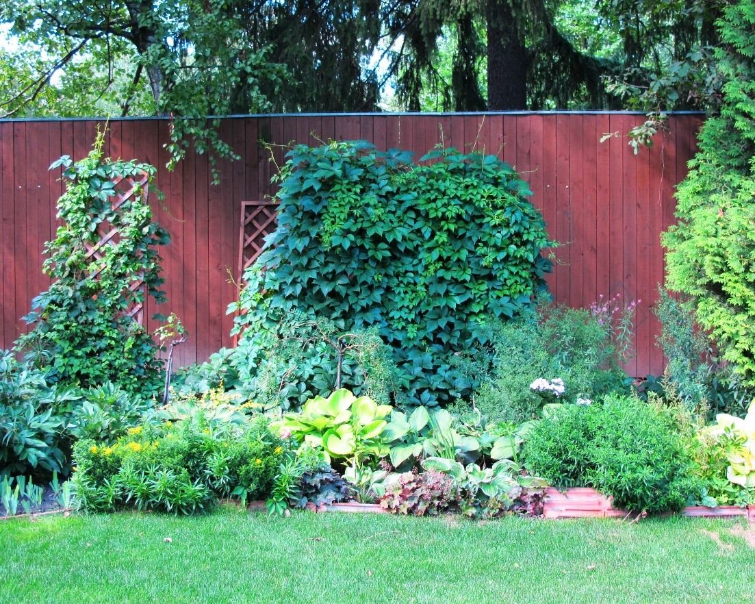 Каменистый сад у Мещерского парка