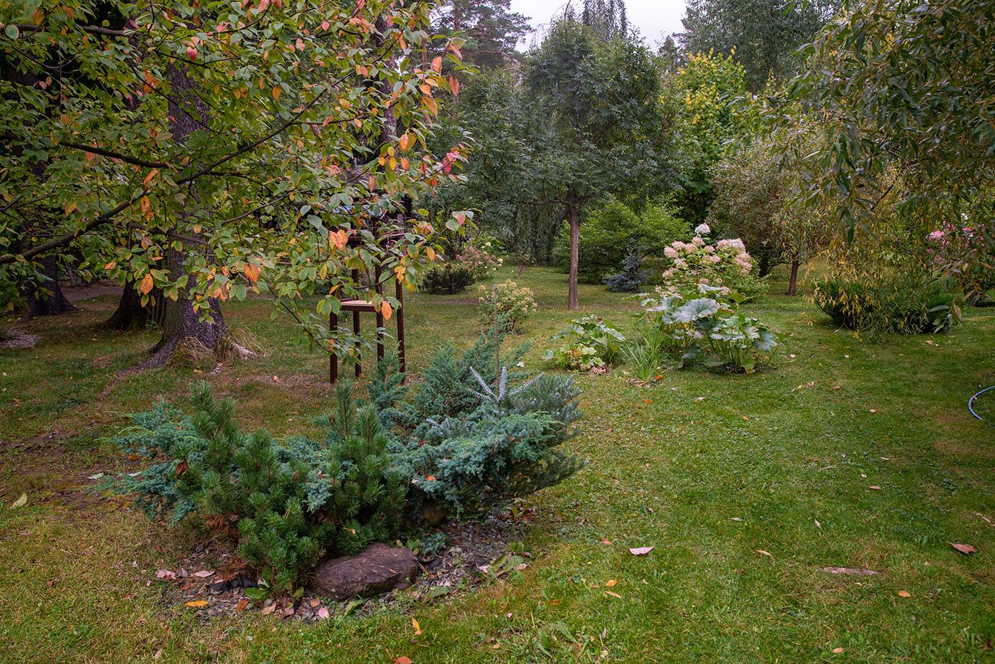 Проект Переделкино